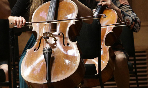 Струнный квартет сыграет Вивальди в гипермаркете «Лента» на Петухова