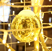 Город засиял иллюминацией: мэр Кудрявцев осмотрел новогодние локации