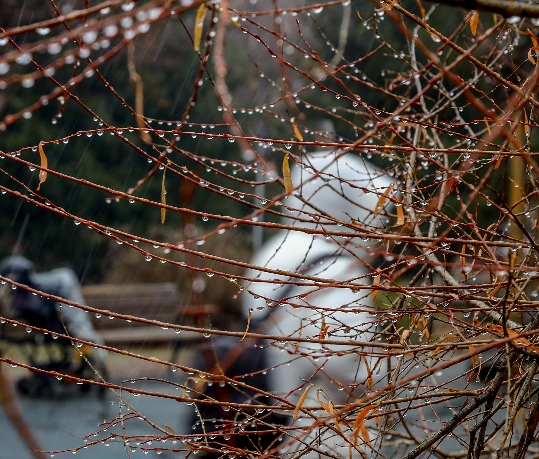 Гидрометцентр предупредил о резком ухудшении погоды в Новосибирске