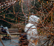Гидрометцентр предупредил о резком ухудшении погоды в Новосибирске