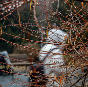Гидрометцентр предупредил о резком ухудшении погоды в Новосибирске