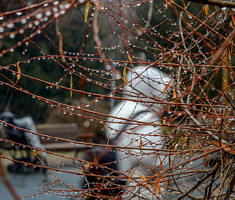 Гидрометцентр предупредил о резком ухудшении погоды в Новосибирске