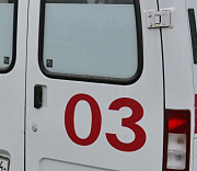 Штормовой ветер повалил деревья в Новосибирске: есть пострадавшие