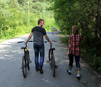 Экологи vs велосипедисты: как прокладывать велодорожки в Заельцовском парке?