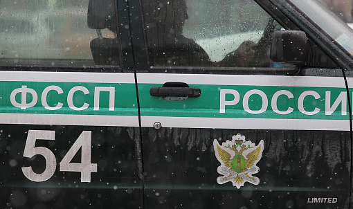 368 нелегальных мигрантов выдворили из страны новосибирские приставы