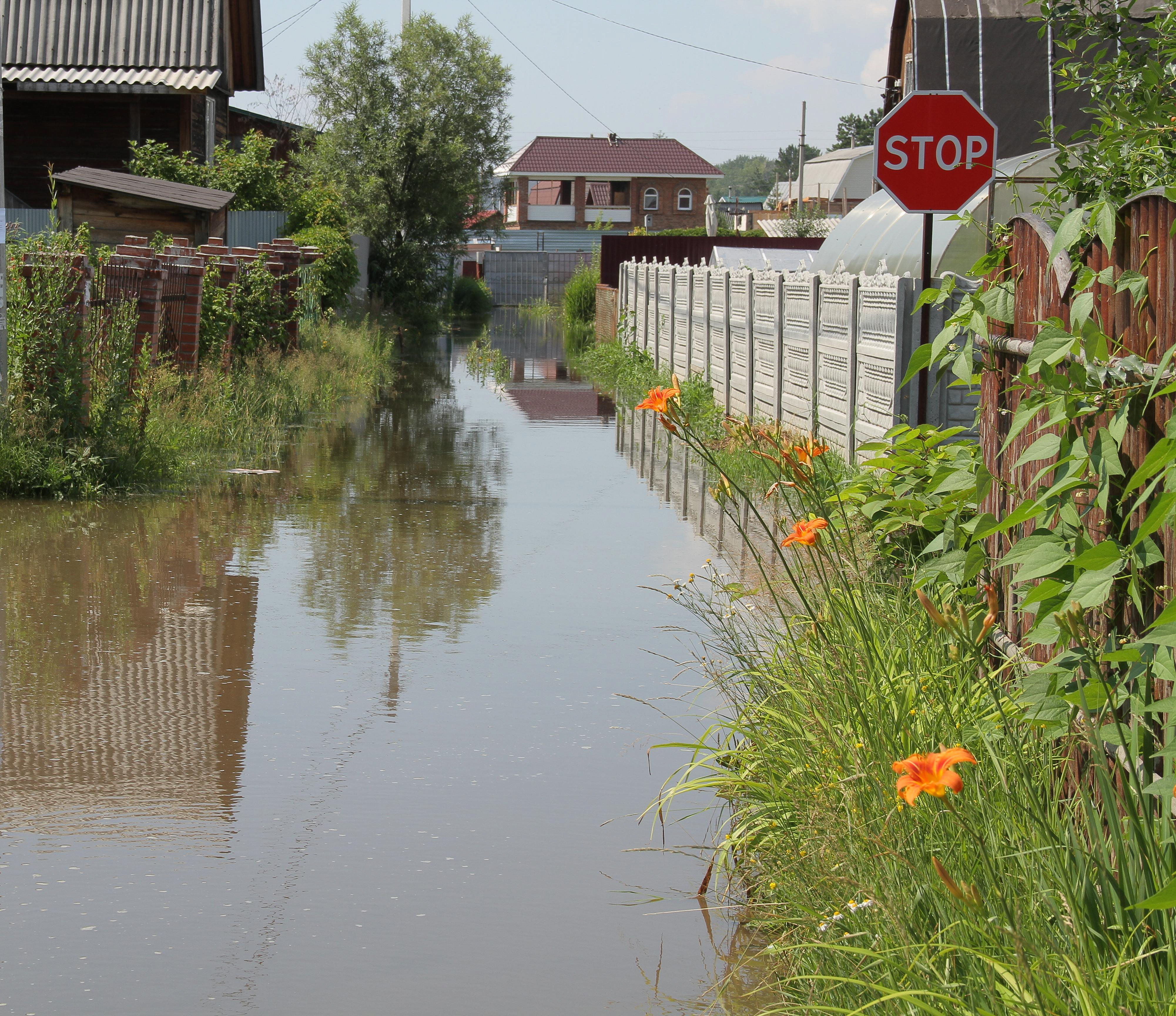 Обильный паводок после бесснежной зимы прогнозируют в Новосибирске