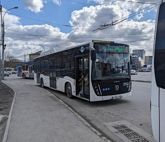 Новый автобус №112 до аэропорта Толмачёво: лучше ездить без багажа