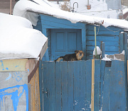 Больше 700 пожарных рейдов провели в СНТ и частном секторе Новосибирска