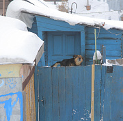 Больше 700 пожарных рейдов провели в СНТ и частном секторе Новосибирска