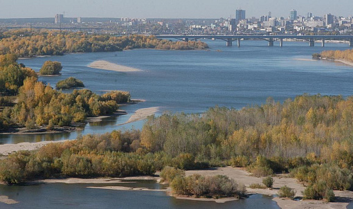В Новосибирске запустили опрос о территории между ЛДС и Бугринской рощей