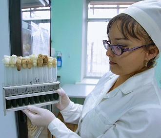 На борьбу с онкологией в Новосибирской области добавят 1,3 млрд рублей