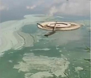 Новосибирцев попросили не купаться в цветущей воде из-за обилия микробов