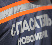 Дерево рухнуло на остановку в Новосибирске — пострадали трое