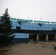 Несите тыквы: ящик для сбора урожая поставили у главного входа в зоопарк