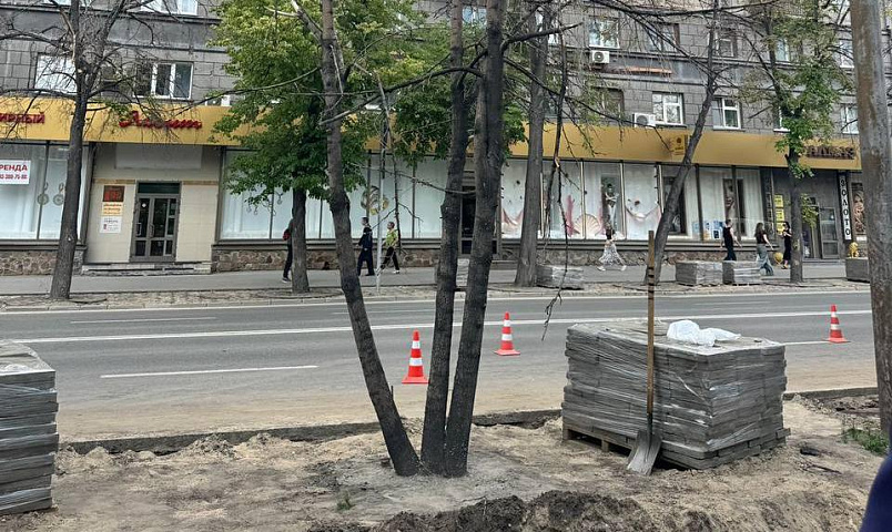 30 молодых лип высадят взамен погибших вдоль Театрального сквера
