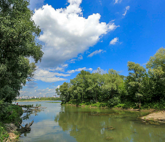 «Усть-Тула» станет самым большим парком города — что там есть сейчас
