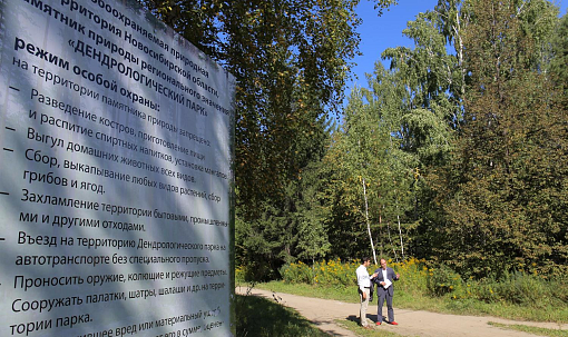 Новые дорожки, фонари и деревья: в Новосибирске реконструируют дендропарк