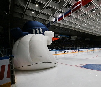 Новосибирских хоккеистов позвали в сборную России