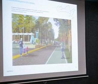 Проект реконструкции Заельцовского парка одобрили в Новосибирске