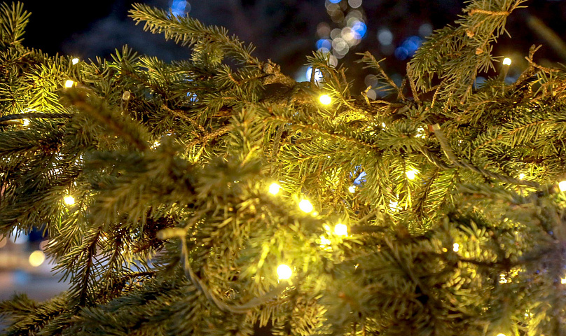 Ёлки, шары и катки в парках: как Новосибирск готовится встречать 2026 год