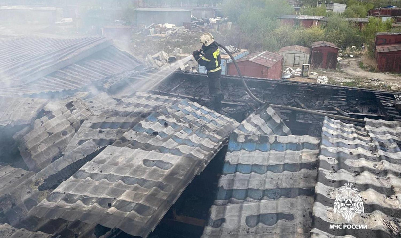 36 пожаров зафиксировали за неделю в Новосибирске: трава ещё горит