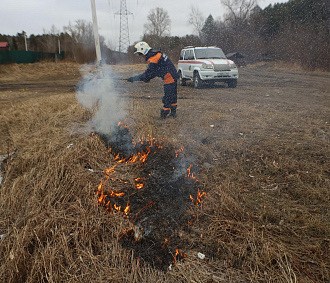 249 штрафов выписали жителям Новосибирской области за костры в огородах