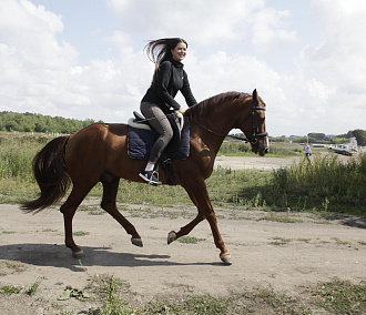 Новосибирские амазонки, или Как девушки служат в конной полиции