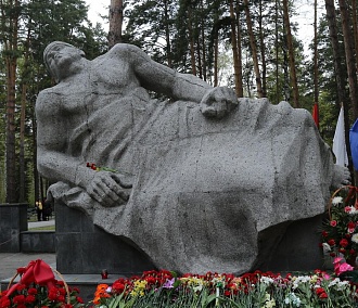 «Раненого воина» на Заельцовском кладбище грели печкой круглые сутки