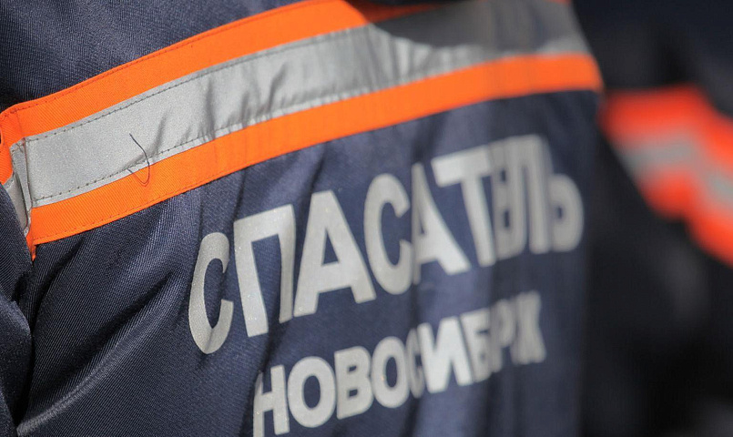 Новосибирские спасатели достали кошку из электрощитка
