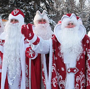 Хоббихорсинг и гринчеринку предлагают аниматоры новосибирцам на Новый год