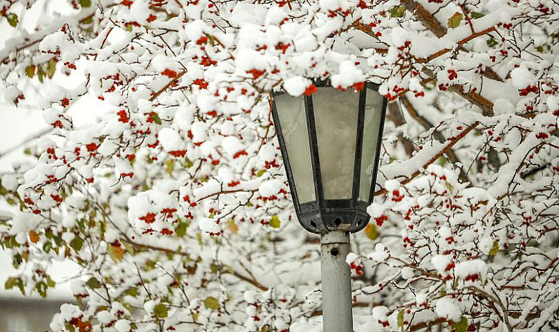 Губернатор Травников призвал лучше следить за состоянием новых парков