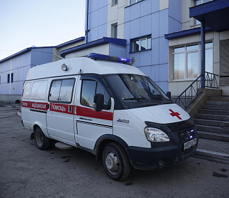 133 случая коронавируса выявили за сутки в Новосибирской области