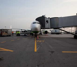 В аэропорту Толмачёво начали усиленно проверять пассажиров из-за опасного вируса