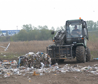 Депутаты о мусоре в Новосибирске: «Сменить регоператора мешает закон»
