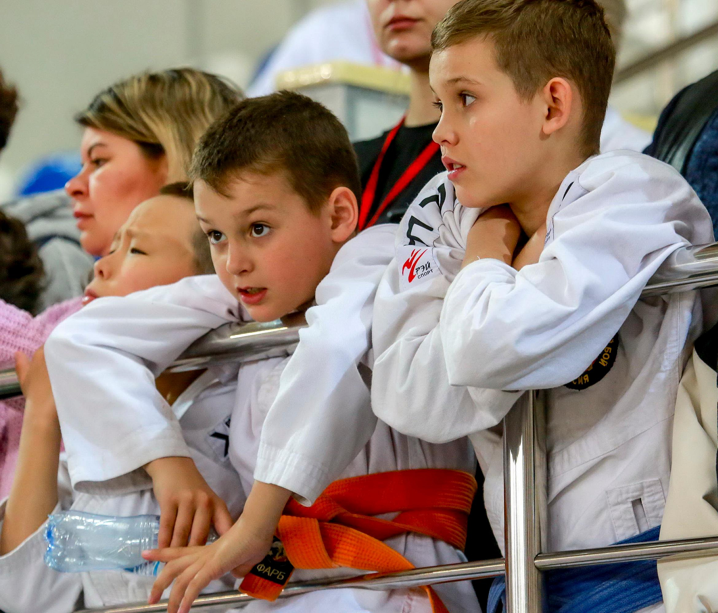 Кобудо, джиу-джитсу и айкидо покажут на фестивале «Звёзды Сибири»