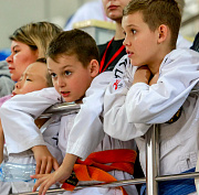 Кобудо, джиу-джитсу и айкидо покажут на фестивале «Звёзды Сибири»