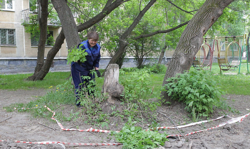 В сквере Михаила Перевозчикова убрали мусор и обрезали ветки
