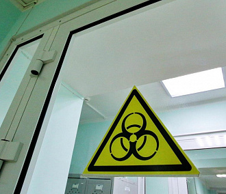 Центр «Вектор» выявил в России бразильский штамм коронавируса