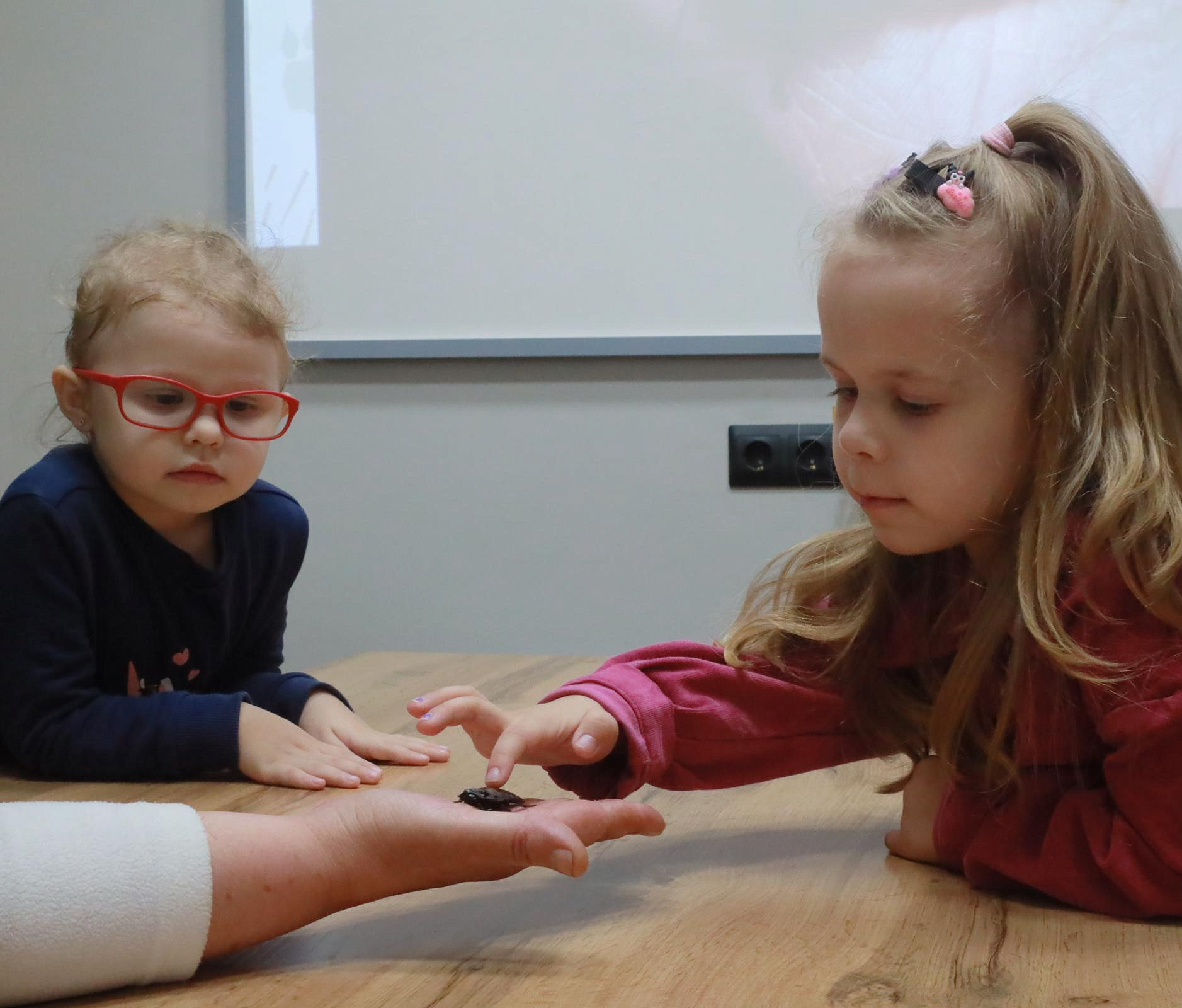 Уроки с милыми тараканами проводят для детей в Новосибирске: смотрим фото