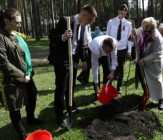 «Сад памяти» появился у центра «Обские зори» в Новосибирске