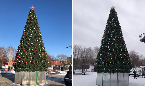 В районах Новосибирска начали устанавливать ёлки к Новому году