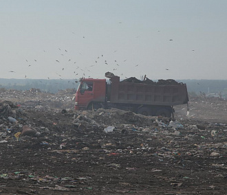 Из зелёной лужи на мусорном полигоне в Новосибирске взяли пробы воды