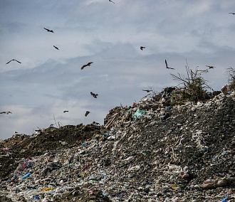 В 2025 году закроют Хилокский мусорный полигон в Новосибирске