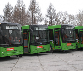 В Новосибирск поступят минские автобусы вместимостью в 100 человек