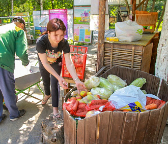 Новосибирцы собрали для пони-фермы 50 кг моркови, яблок и капусты