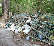Могилы заваливают мусором на Заельцовском кладбище Новосибирска