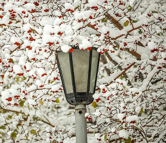 Губернатор Травников призвал лучше следить за состоянием новых парков