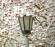 Губернатор Травников призвал лучше следить за состоянием новых парков