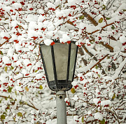 Губернатор Травников призвал лучше следить за состоянием новых парков