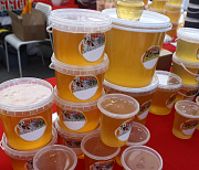 Мёд в сочетании с корицей призвали принимать в пищу новосибирцев